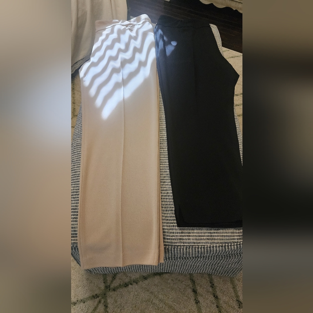 2 Pair Investments Pull-On Elegant Cream and Black Trousers